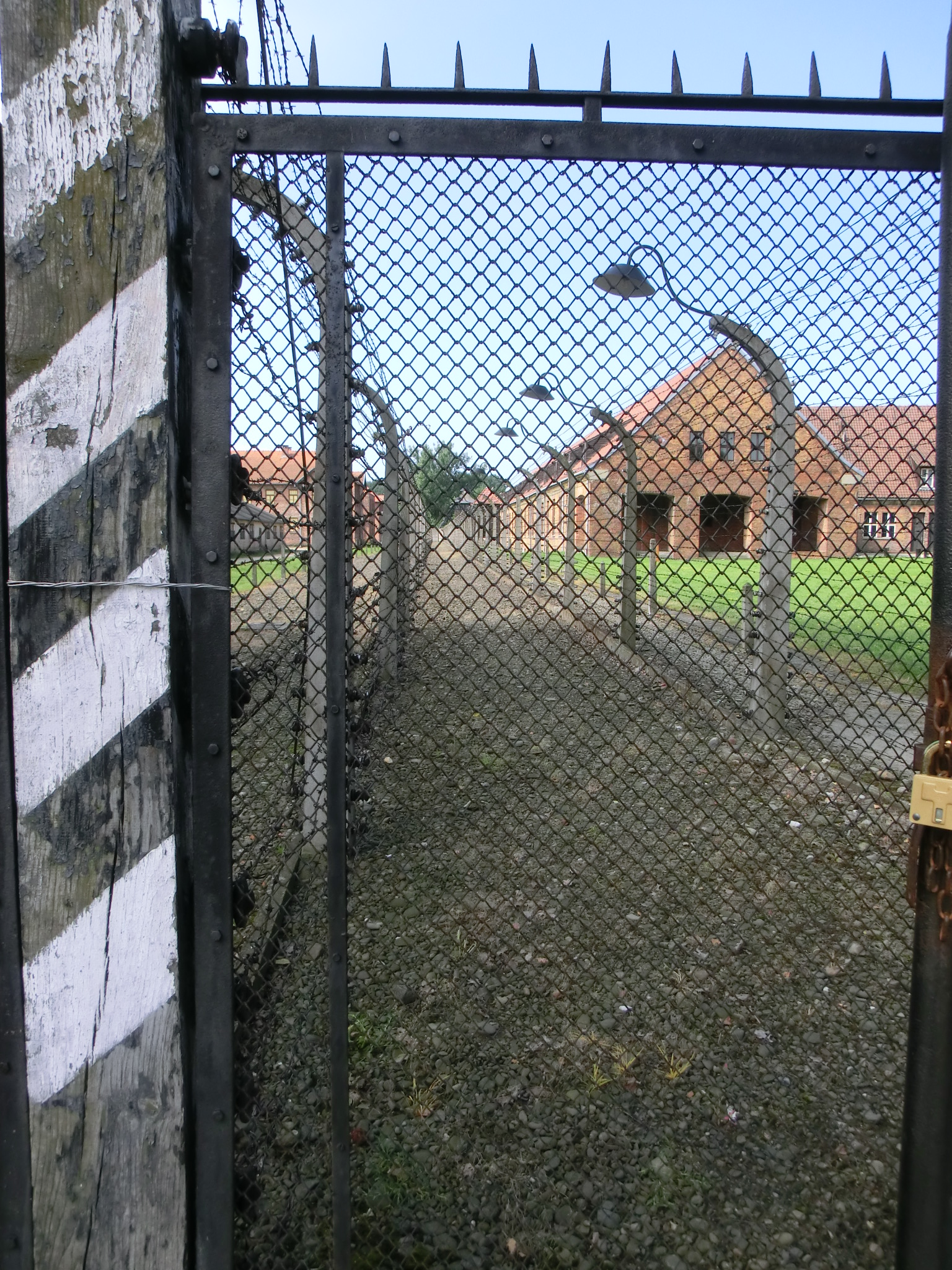 in Auschwitz
